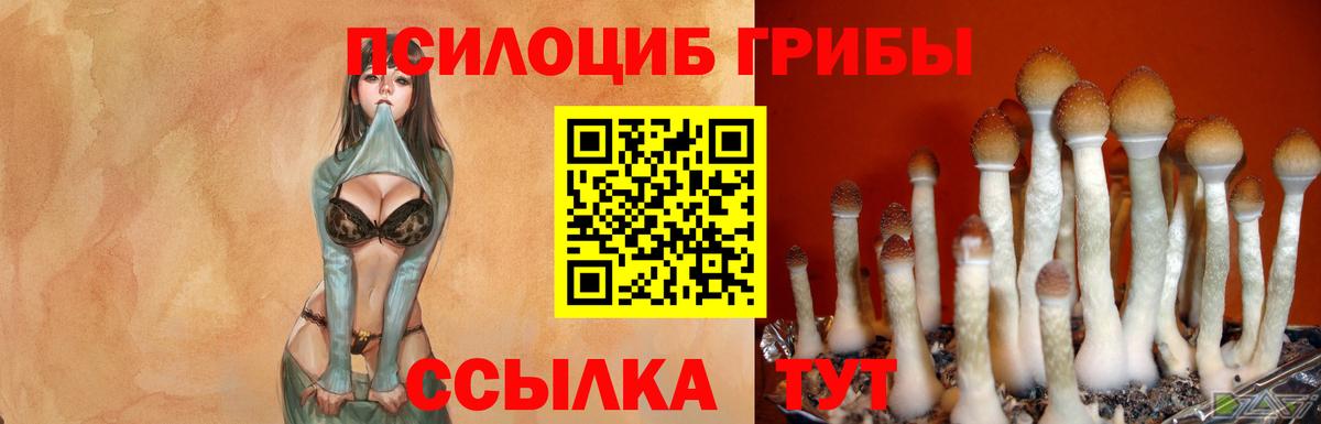 Псилоцибиновые грибы Magic Shrooms  Псилоцибиновые грибы ЛСД  Троицк  Вход с VPN 