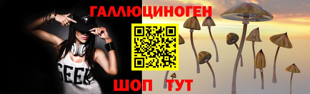 Псилоцибиновые грибы GOLDEN TEACHER Троицк